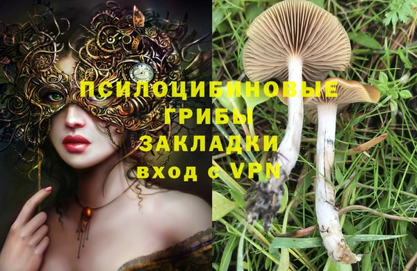 apvp Аркадак