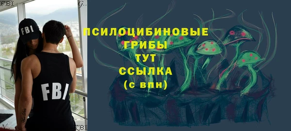 apvp Аркадак