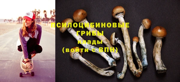 таблы Армянск