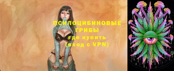 дмт Тобольск