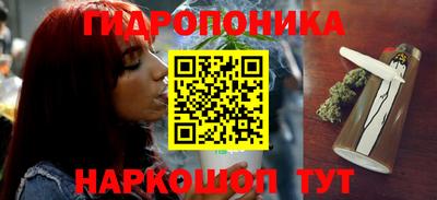 МДПВ Рыбинск