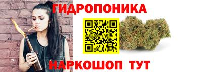МДПВ Рыбинск