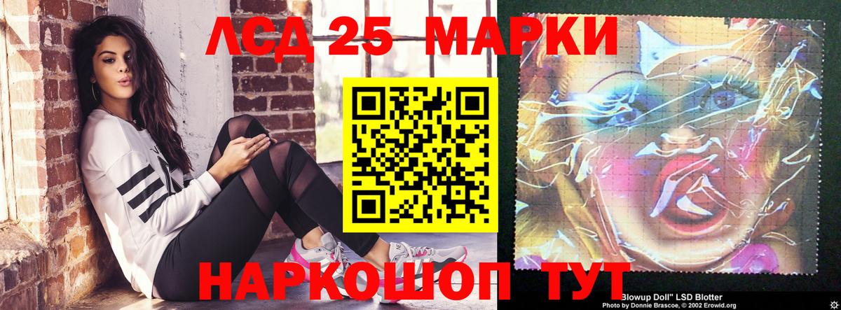 LSD-25 экстази кислота  мега ссылка  Шадринск  Лсд 25 экстази ecstasy  Вход с VPN 