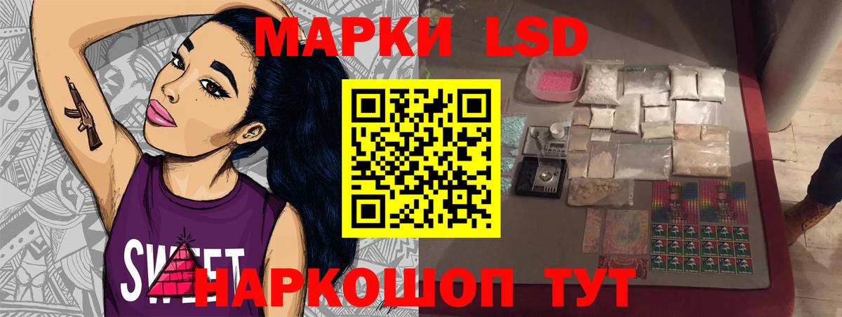 A PVP Шадринск