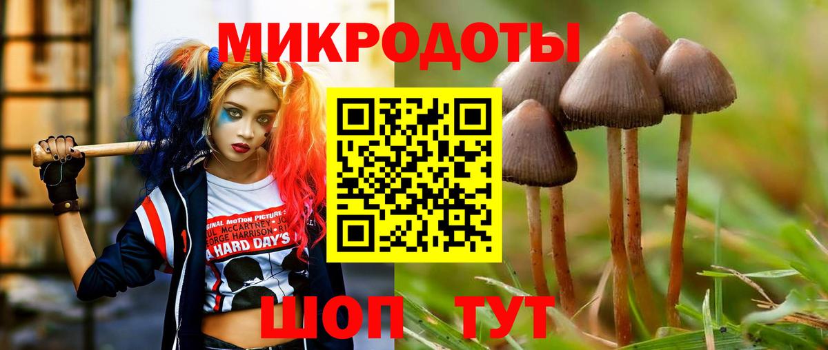 сколько стоит  Вход с VPN  Шадринск  Галлюциногенные грибы MAGIC MUSHROOMS 