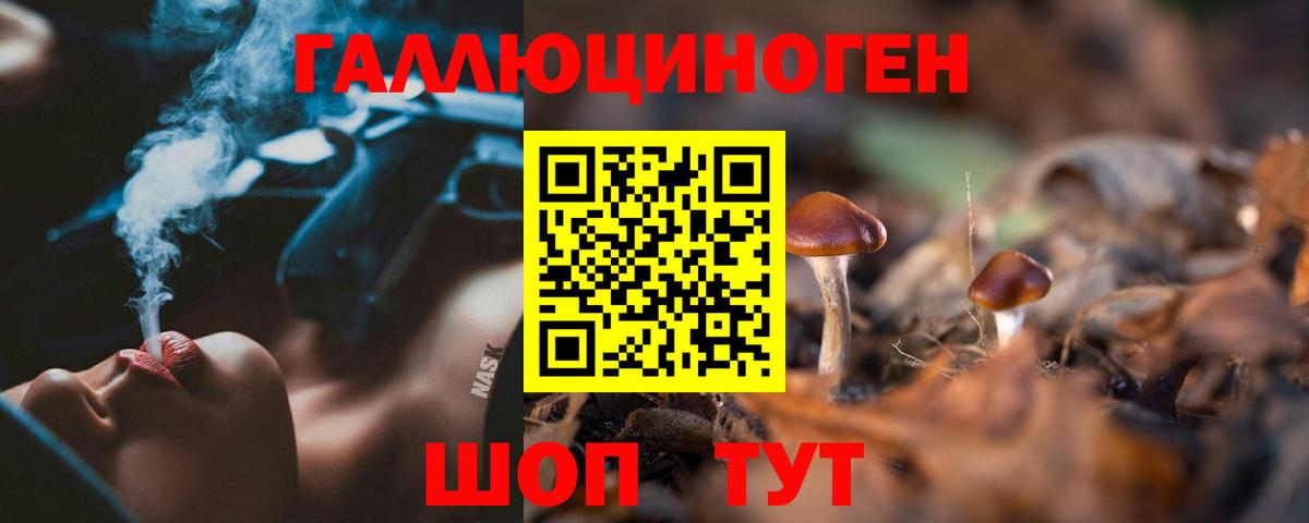 APVP СК   Марихуана  Кокаин  ГАШИШ  Шадринск  Меф   Вход с VPN  Экстази  КЕТАМИН 