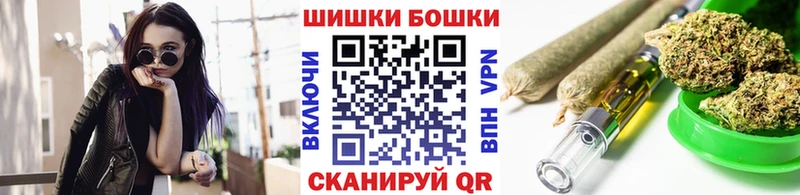 Бошки Шишки SATIVA & INDICA как найти наркотики Шадринск